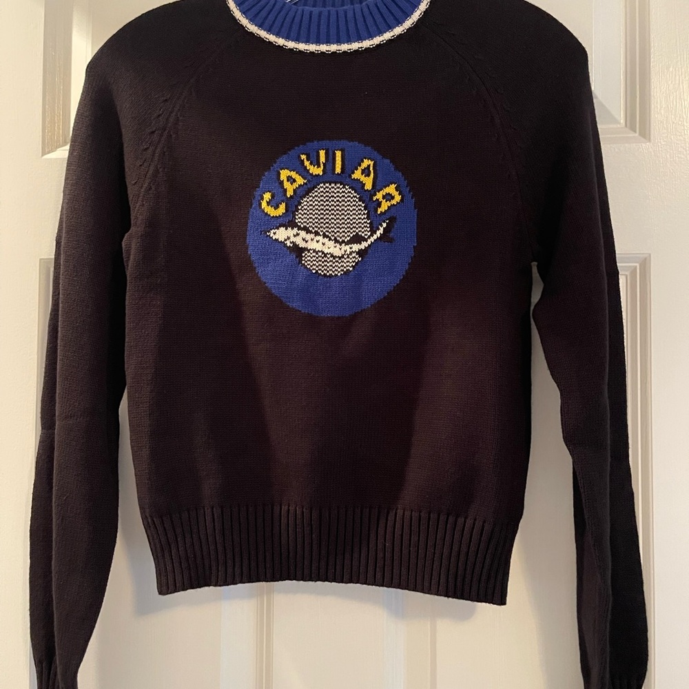 Rachel Antonoff caviar knit sweater
